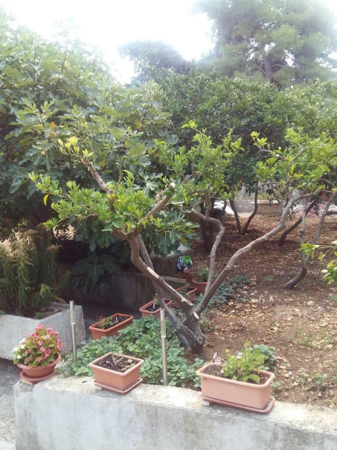 Manda Ljubetic Apartman Sutivan Kültér fotó