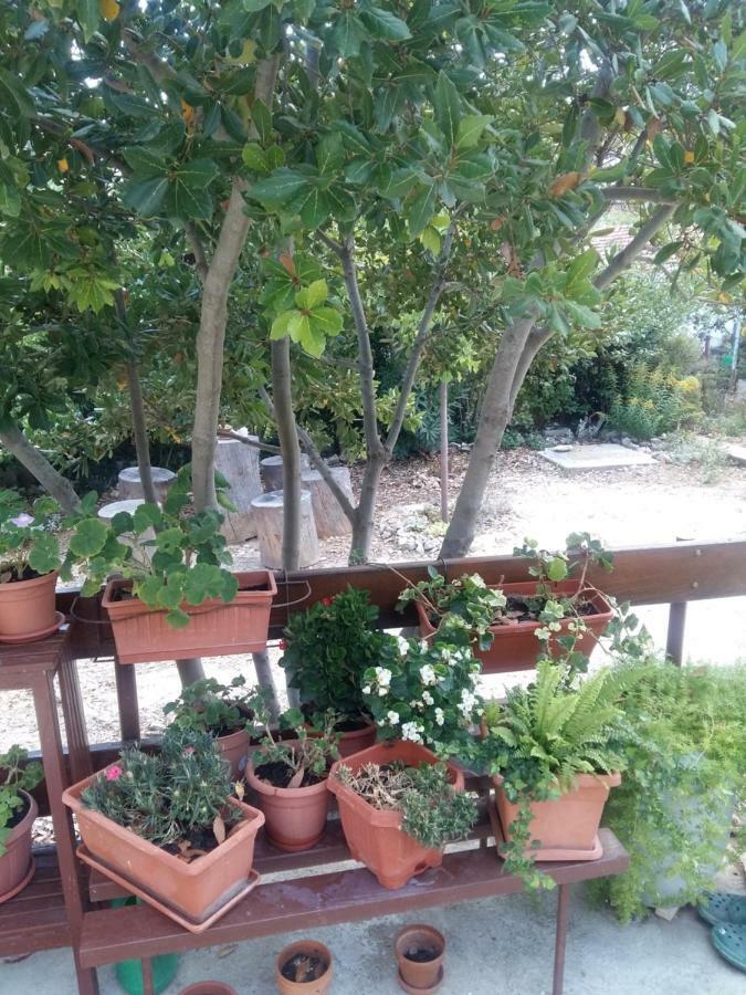 Manda Ljubetic Apartman Sutivan Kültér fotó