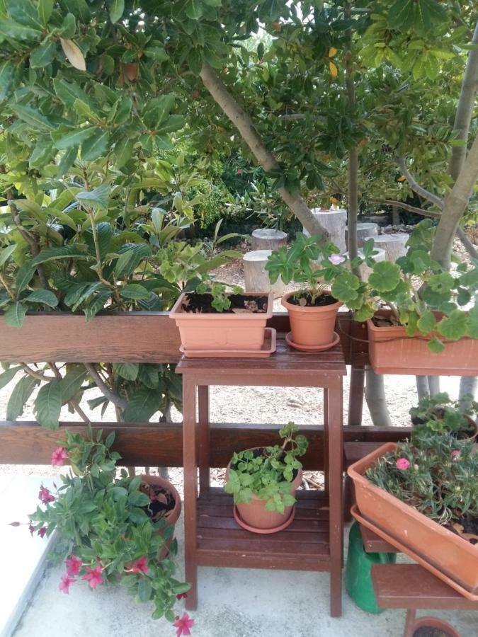 Manda Ljubetic Apartman Sutivan Kültér fotó